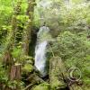 merriman-falls-1_17921931008_o