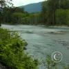 quinalt-river-3_18106450952_o