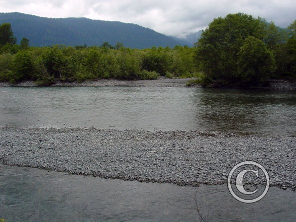 quinalt-river-4_17489340643_o