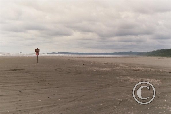 beach-at-kalaloch-looking-north-2-large_21692682633_o