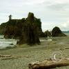 ruby-beach-looking-north_18109372745_o