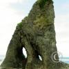 ruby-beach-rock-large_22126001518_o